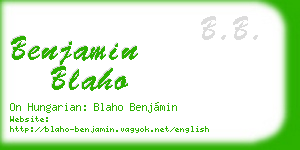 benjamin blaho business card